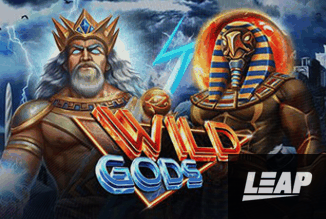 Wild Gods